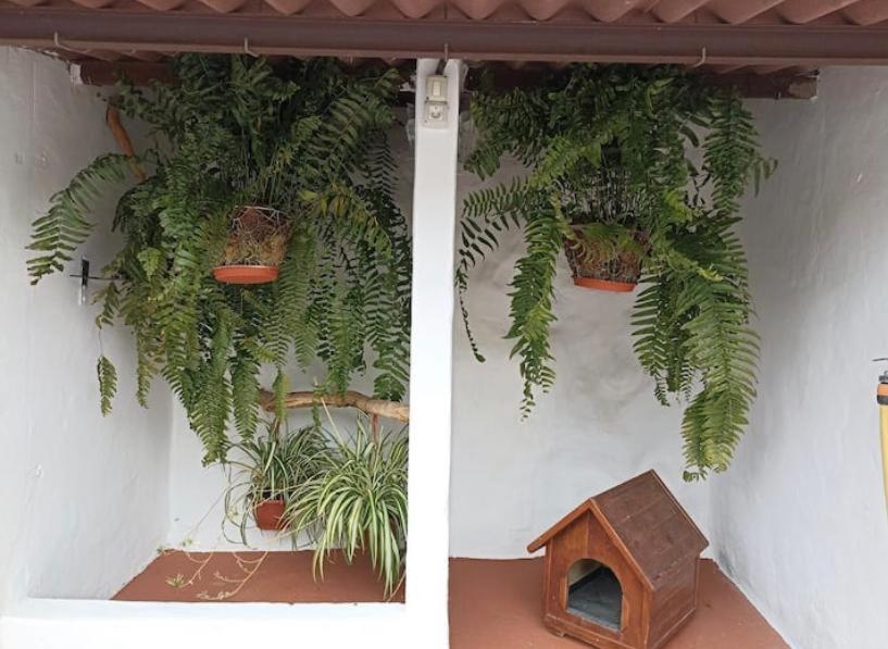 Casa Rural La Yedra San Mateo Arbejales Εξωτερικό φωτογραφία