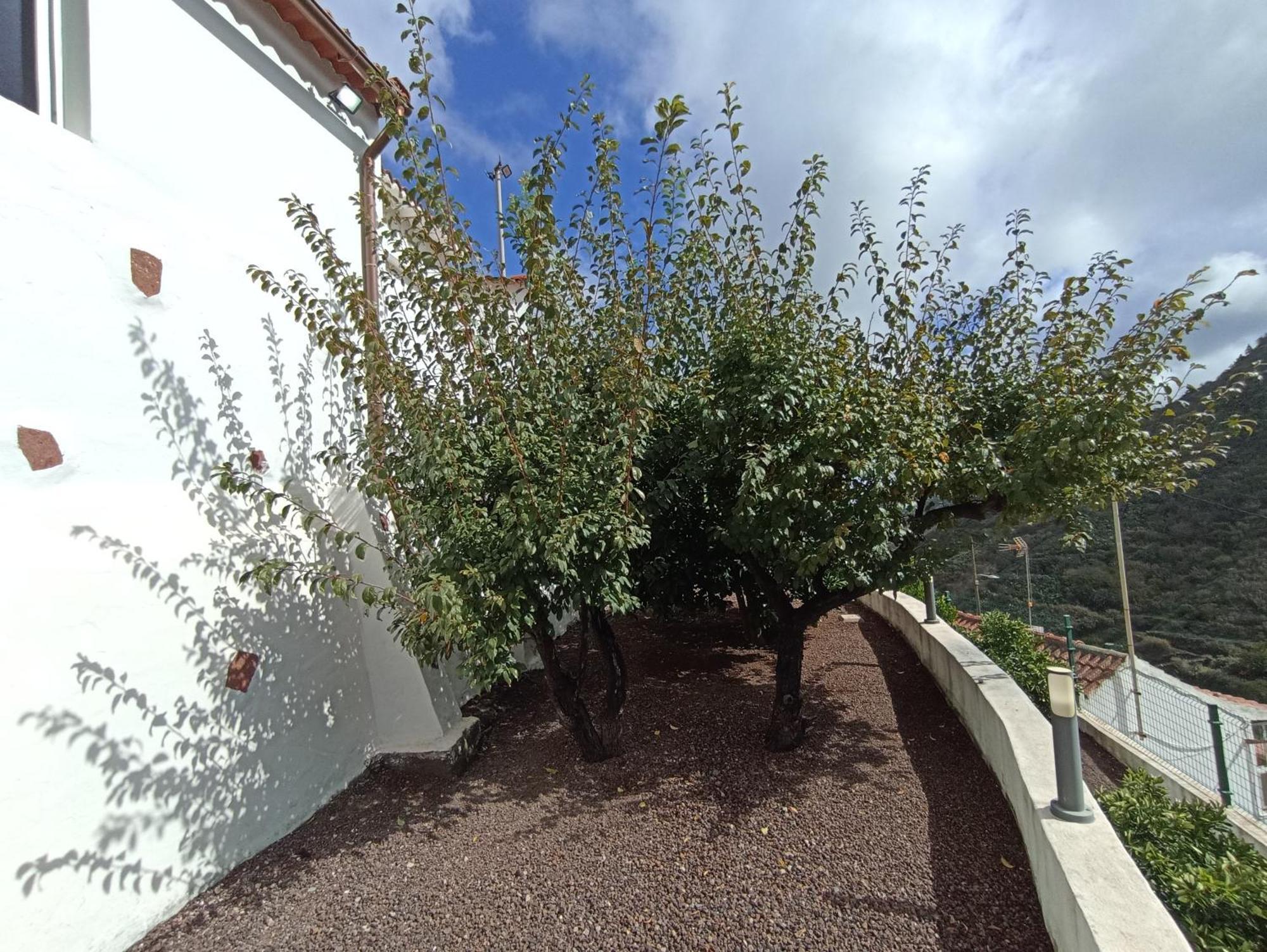 Casa Rural La Yedra San Mateo Arbejales Εξωτερικό φωτογραφία