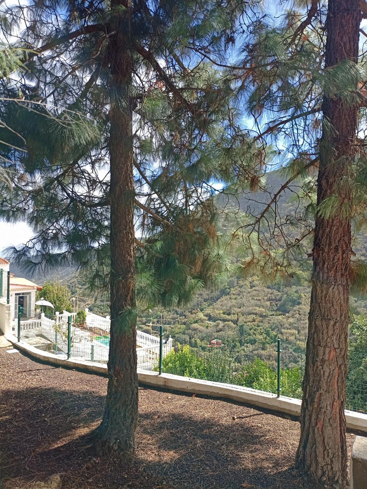 Casa Rural La Yedra San Mateo Arbejales Εξωτερικό φωτογραφία