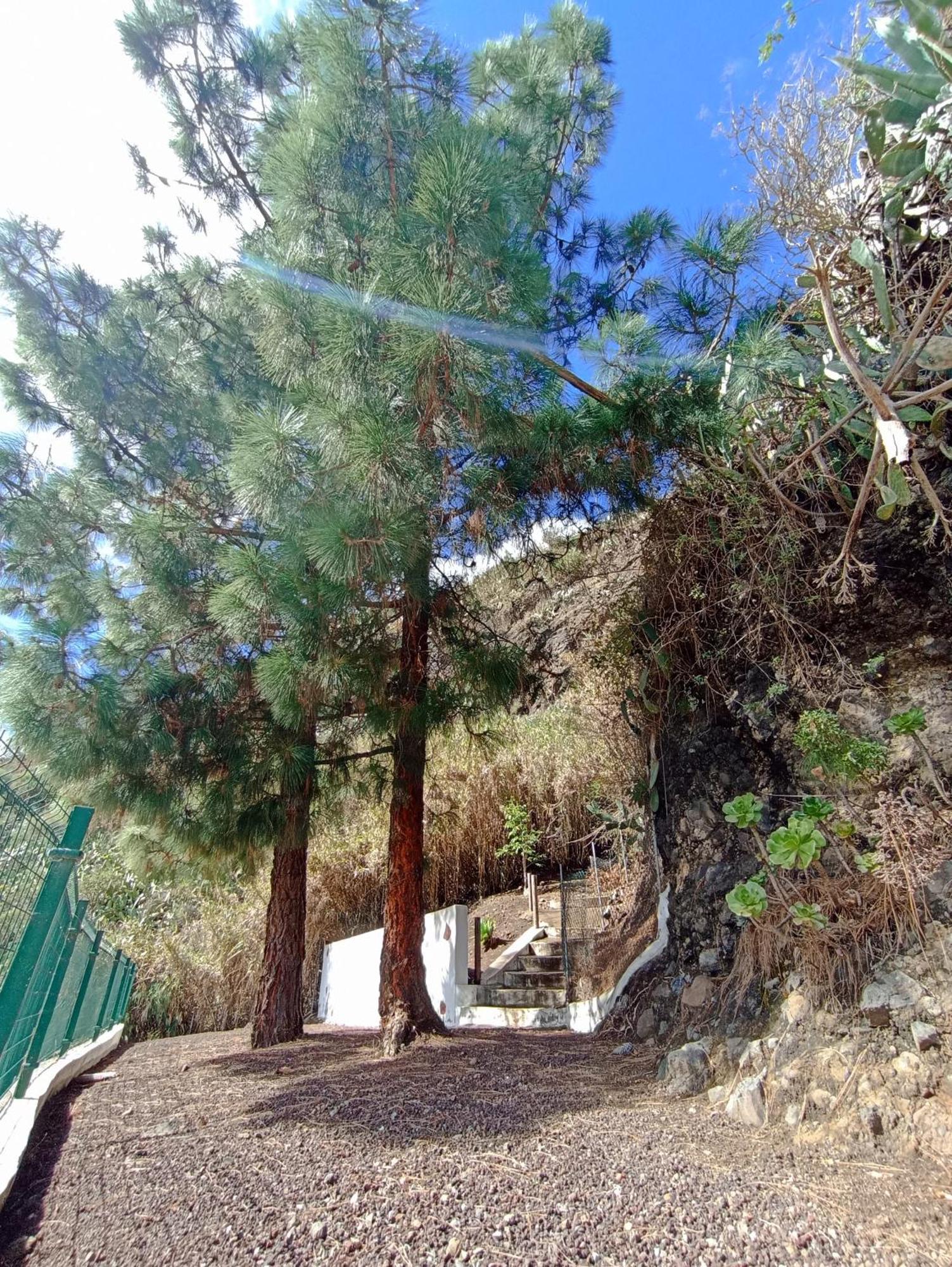 Casa Rural La Yedra San Mateo Arbejales Εξωτερικό φωτογραφία