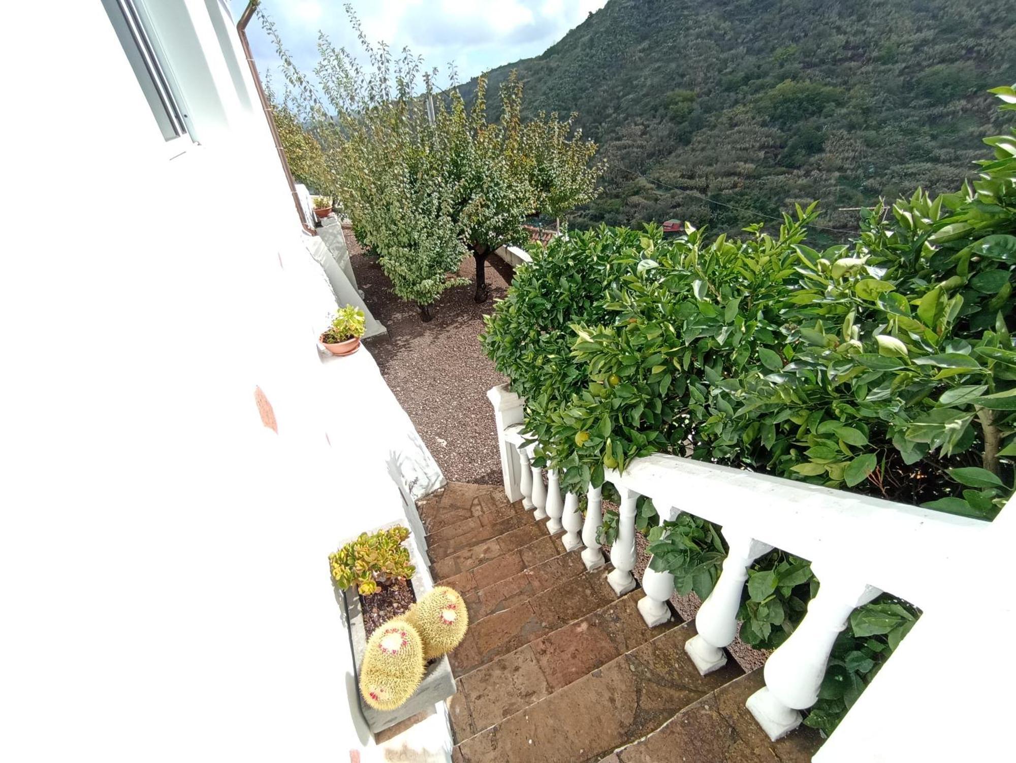 Casa Rural La Yedra San Mateo Arbejales Εξωτερικό φωτογραφία